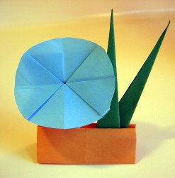 origami-iris-leaf-morning-glory